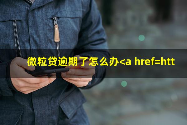微粒贷逾期了怎么办<a href=https://wufkn.cn/tag/tingxiguazhang target=_blank class=infotextkey>停息挂账</a>
